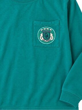 Vintage David Benjamin Sport Teal Striped Collar Long Sleeve Shirt